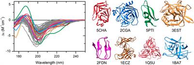 Disordered–Ordered Protein Binary Classification by Circular Dichroism Spectroscopy